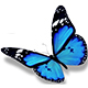 Logo Azur Bleu